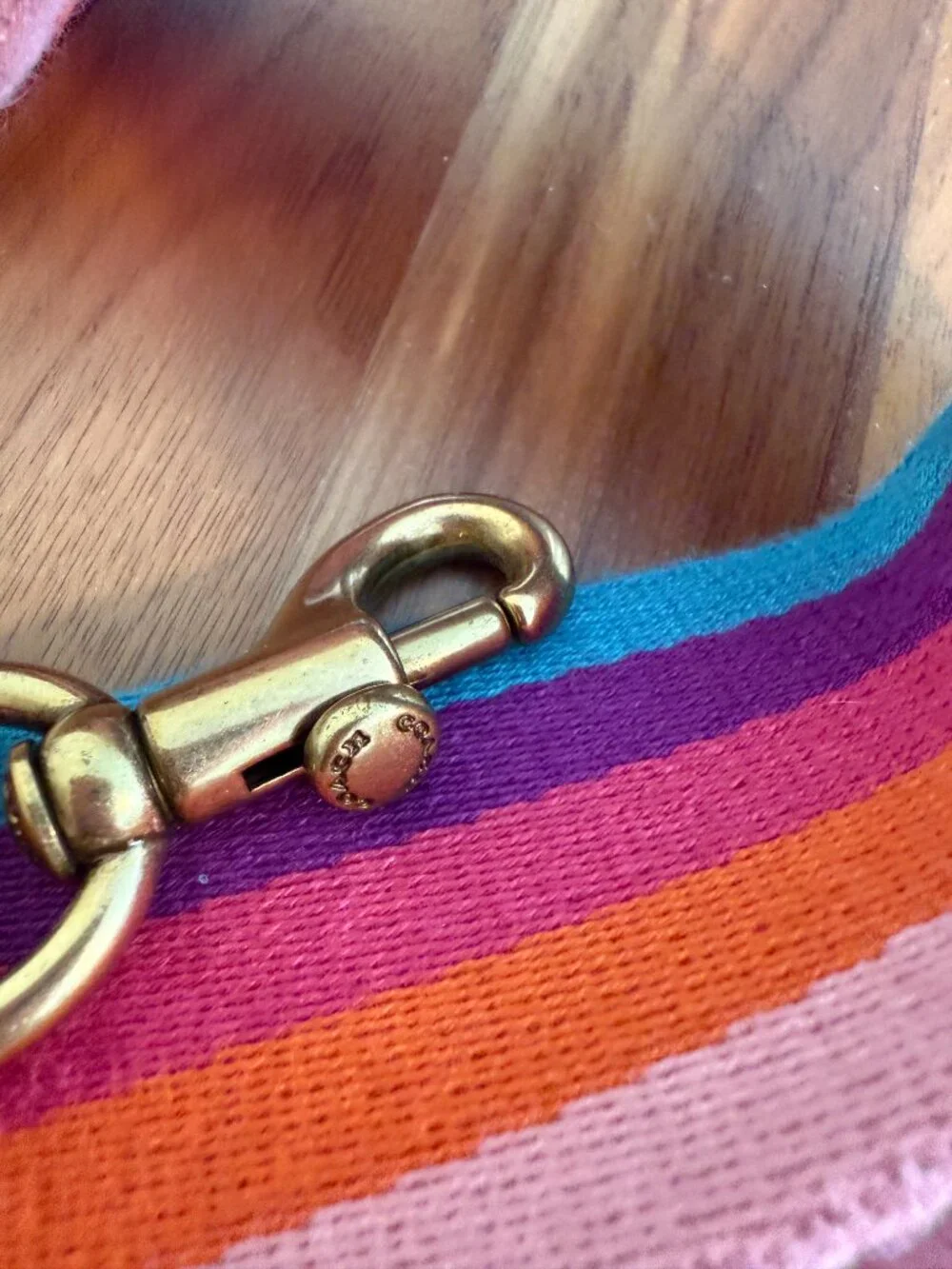 Coach Rainbow Striped Webbing Strap adjustable EUC